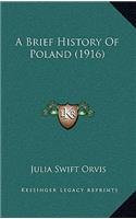 A Brief History Of Poland (1916)