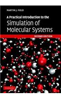 A Practical Introduction to the Simulation of Molecular Systems