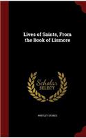 Lives of Saints, From the Book of Lismore