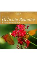 Delicate Beauties Exotic Butterflies 2017