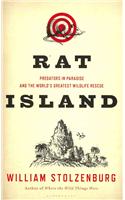 Rat Island