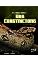 Boa Constrictors