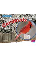 Cardinals