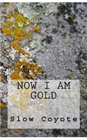 Now I Am Gold