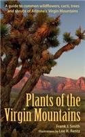 Plants of the Virgin Mountains: A guide to common wildflowers, cacti, trees and shrubs of Arizona's Virgin Mountains