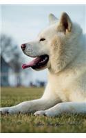 Akita Inu June Notebook Akita Inu Record, Log, Diary, Special Memories, to Do List, Academic Notepad, Scrapbook & More