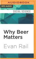 Why Beer Matters