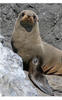 Antarctic Fur Seal Journal: 150 page lined notebook/diary