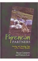 Pyrenean Partners