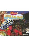 Slimy Sea Slugs