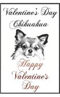 Valentine's Day Chihuahua