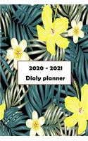 2020-2021 Daily Planner: Two year Planner, Dated with US Holiday Yearly Planner Organizer(1 2020-2021 Daily Planner)