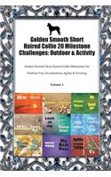 Golden Smooth Short Haired Collie 20 Milestone Challenges