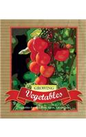 Growing Vegetables