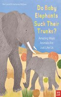 Do Baby Elephants Suck Their Trunks? - Amazing Ways Animals Are Just Like Us