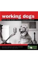 Working Dogs