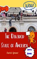 Divided State of America