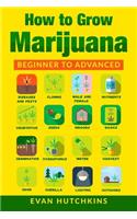 How to Grow Marijuana: Beginners to Advanced -Growing Medicinal Cannabis Indoors for Medicinal Use