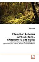 Interaction between symbiotic fungi, Rhizobacteria and Plants