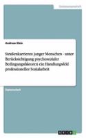 Straßenkarrieren junger Menschen - unter Berücksichtigung psychosozialer Bedingungsfaktoren ein Handlungsfeld professioneller Sozialarbeit