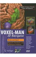 Voxel-Man 3D-Navigator