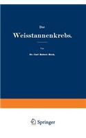 Der Weisstannenkrebs