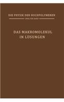 Das Makromolekül in Lösungen