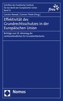 Effektivitat Des Grundrechtsschutzes in Der Europaischen Union