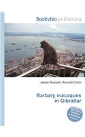 Barbary Macaques in Gibraltar