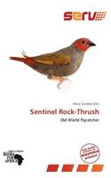 Sentinel Rock-Thrush: (English)