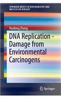 DNA Replication - Damage from Environmental Carcinogens