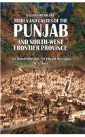 A Glossary of the Tribes and Castes of the Punjab and North-West Frontier Province