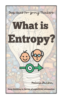 What is Entropy?