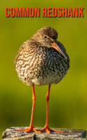 Common Redshank: Amazing Facts & Pictures