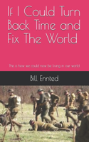 If I Could Turn Back Time and Fix The World