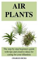 Air Plants: The step by step beginners guide with tips and creative ideas for caring for your tillandsia