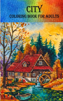 City Coloring Book For Adults