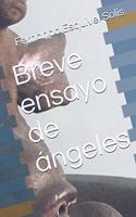 Breve ensayo de ángeles
