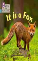 Big Cat Phonics for Little Wandle Letters and Sounds Revised - It Is a Fox