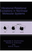 Vibrational-Rotational Excitations in Nonlinear Molecular Systems