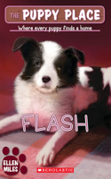 Flash (the Puppy Place #6): (06 Puppy Place)