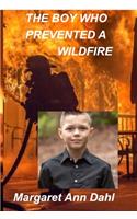 The boy who prevented a wildfire