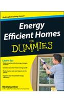 Energy Efficient Homes For Dummies