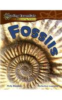 Fossils
