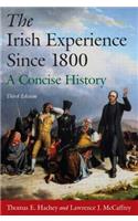 The Irish Experience Since 1800: A Concise History