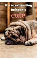 It's so exhausting being this cute.