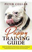 Puppy Training Guide