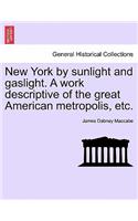 New York by sunlight and gaslight. A work descriptive of the great American metropolis, etc.