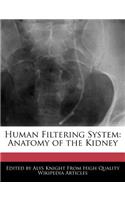 Human Filtering System