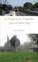 Terapia De Los Treinta Días Con Jung